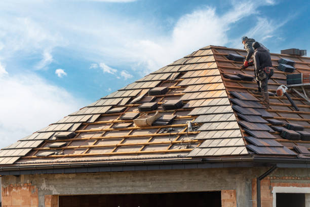 Professional  Roofing repair and installation in Griswold, IA